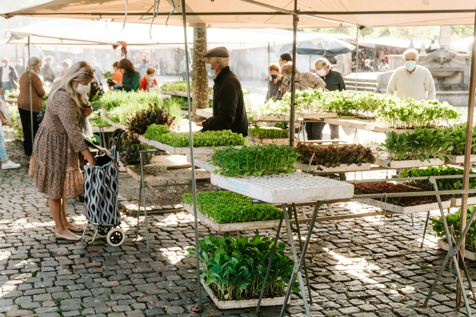 Weekend outdoor market with produce stalls and shoppers